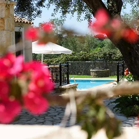 Villa Premium Jasmine With Private Pool Dassia (Corfu)